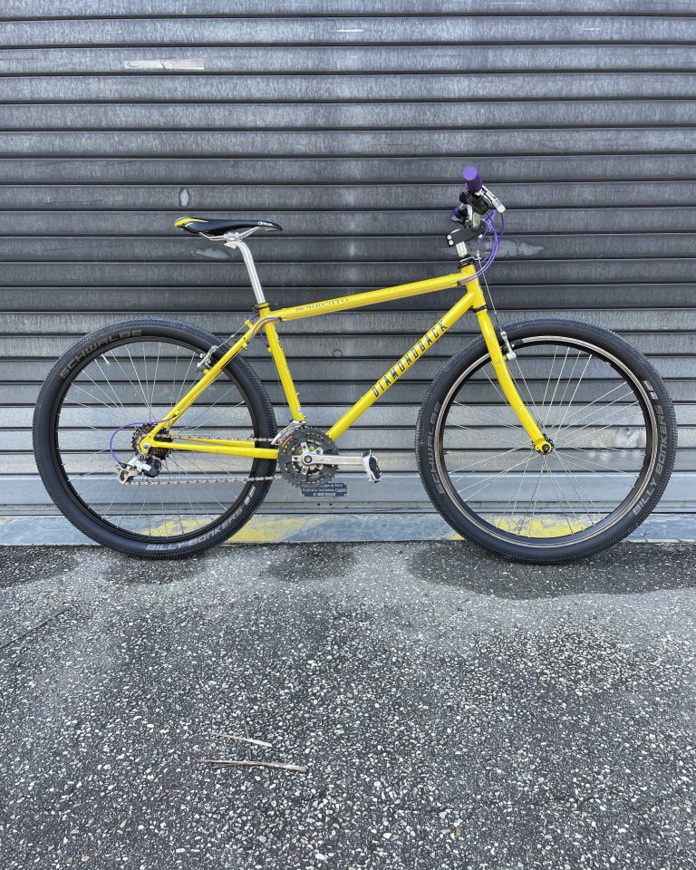 diamonback-commuter-velo-lyon-villeurbanne-custom