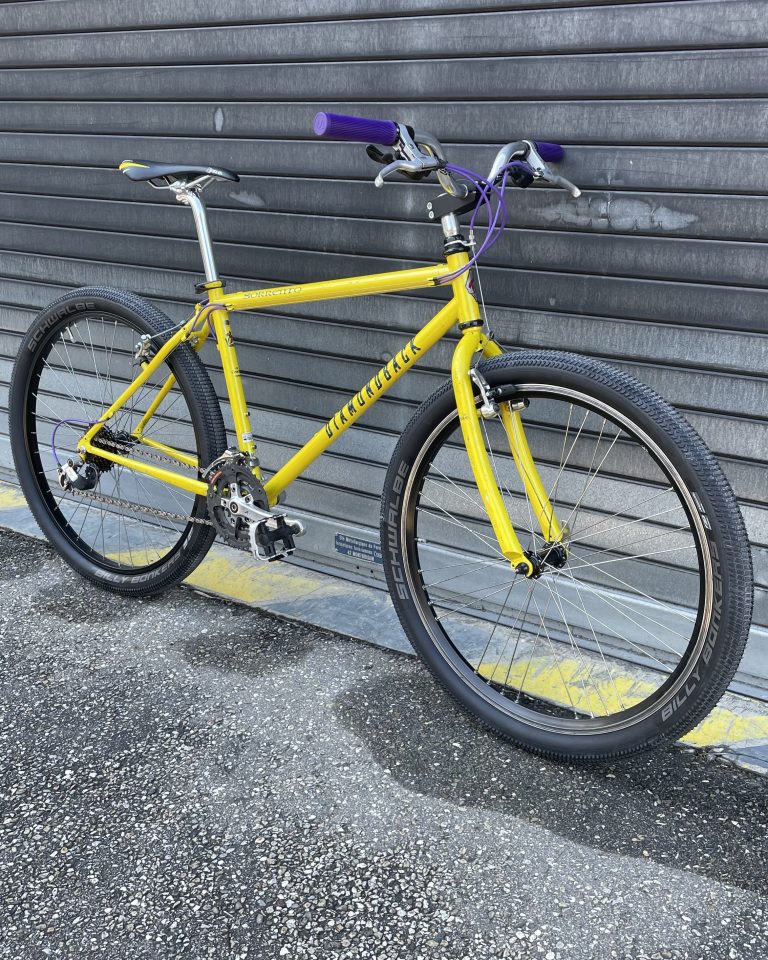 diamonback-commuter-velo-lyon-villeurbanne-custom