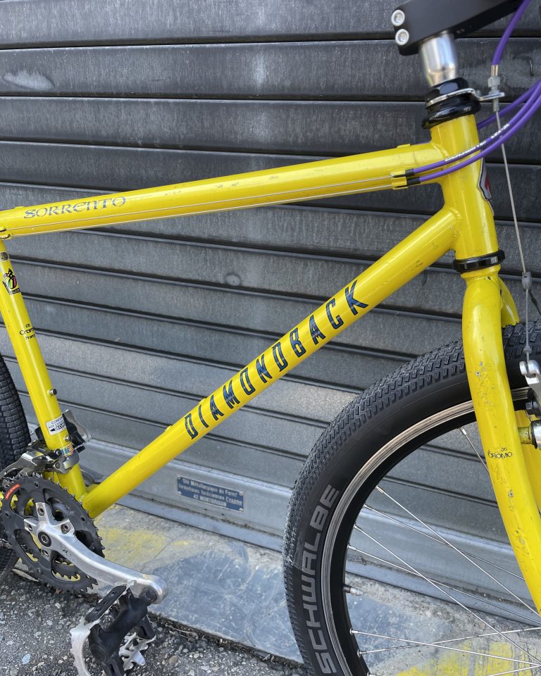 diamonback-commuter-velo-lyon-villeurbanne-custom