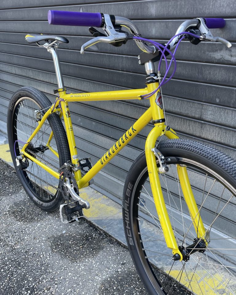 diamonback-commuter-velo-lyon-villeurbanne-custom