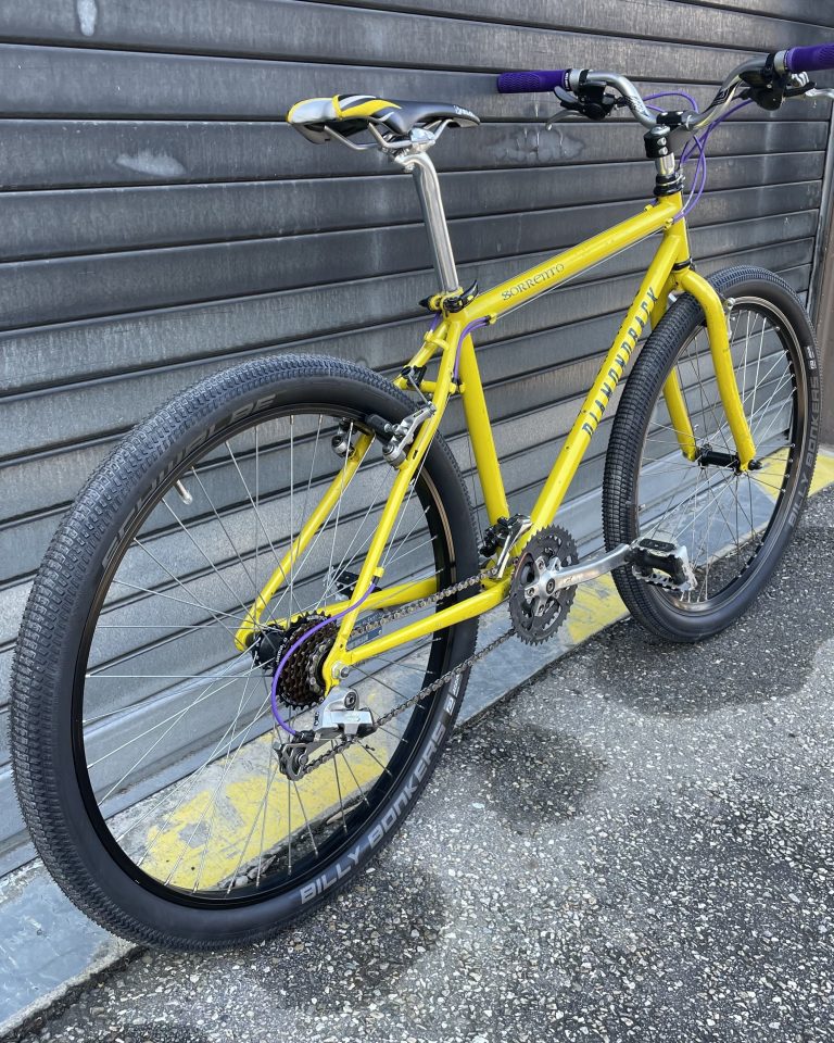 diamonback-commuter-velo-lyon-villeurbanne-custom