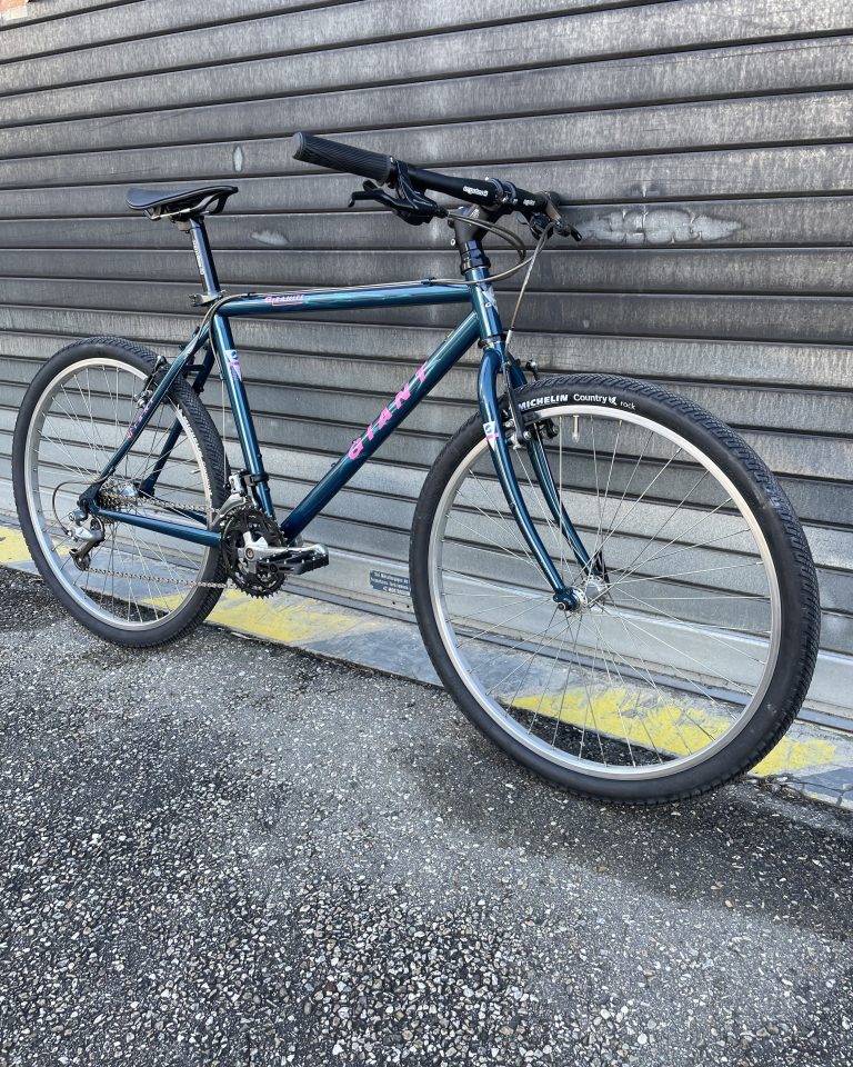 giant-vtt-commuter-lyon-2