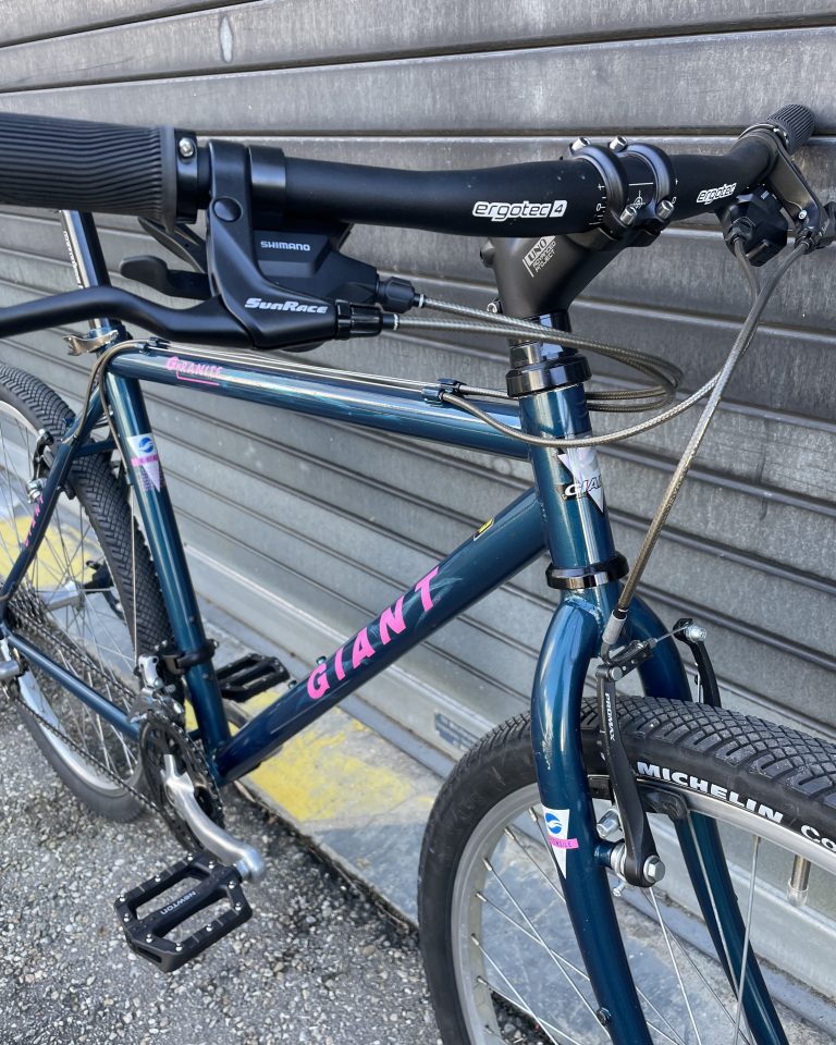 giant-vtt-commuter-lyon-3