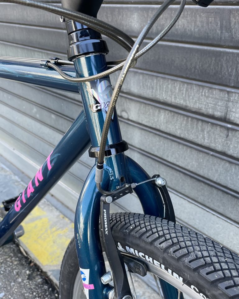 giant-vtt-commuter-lyon-5