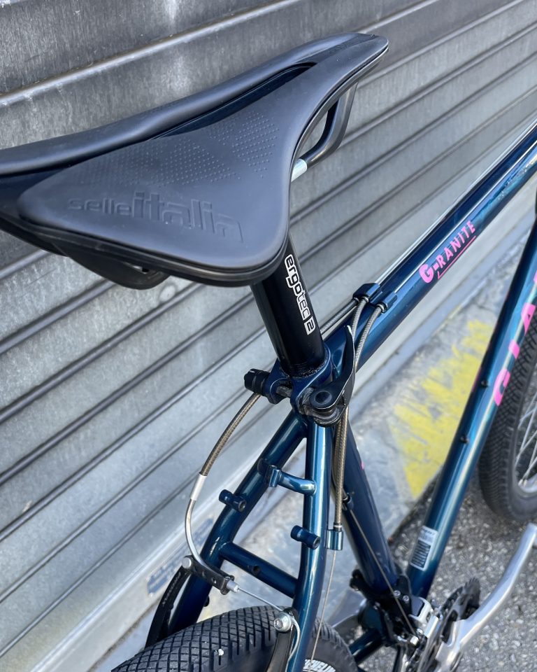 giant-vtt-commuter-lyon-7